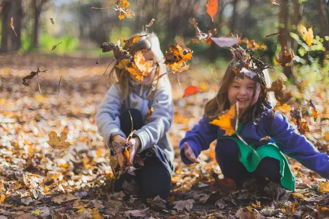 children playing with leaves