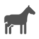 profile of a horse